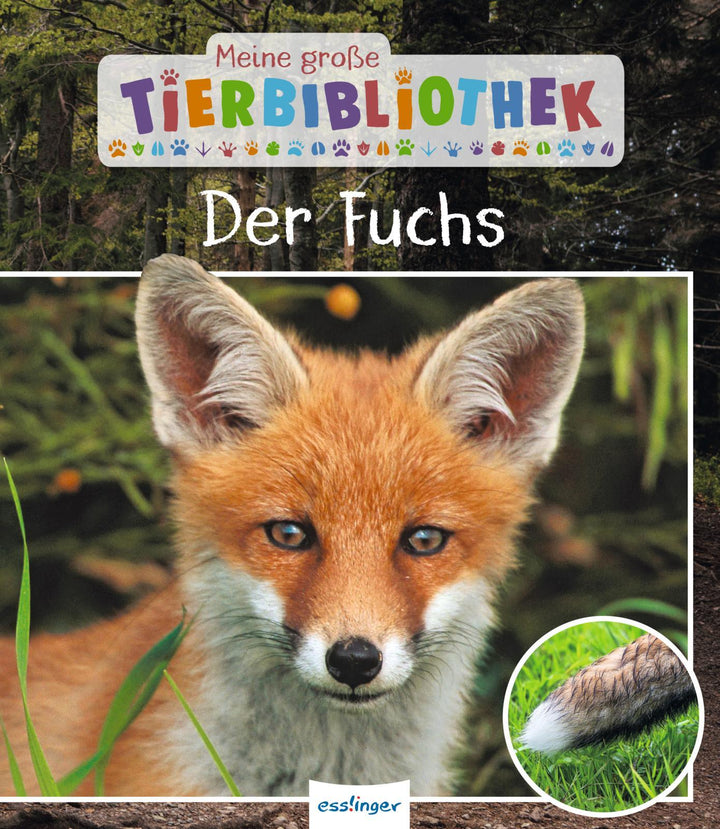 Meine große Tierbibliothek: Der Fuchs | Havard, Christian