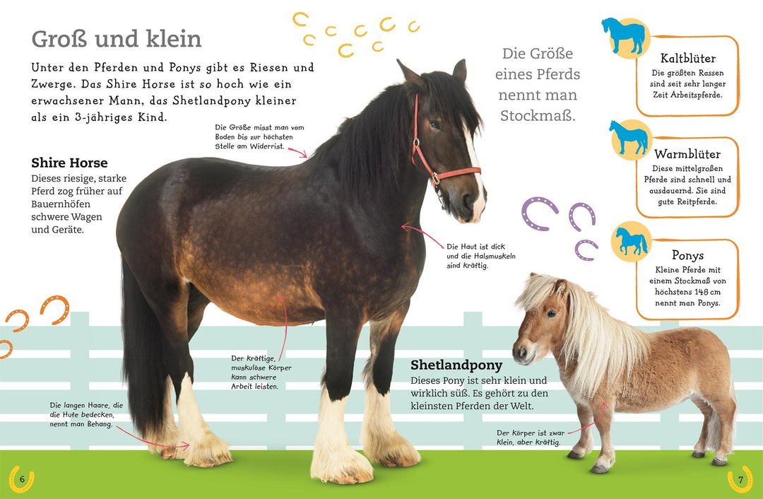 Pferde und Ponys | -