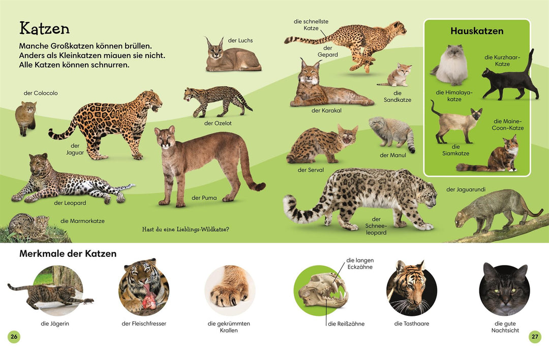 1000 erste Wörter. Tiere | Pottle, Jules