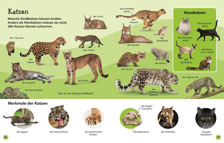 1000 erste Wörter. Tiere | Pottle, Jules