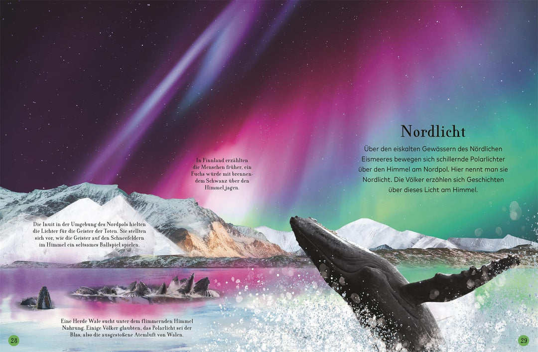 Wundervolle Reise durch die Nacht | -