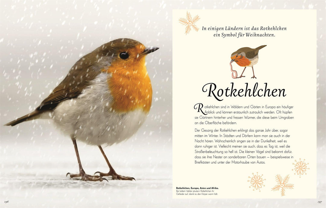 Wundervolle Welt der Vögel | Hoare, Ben