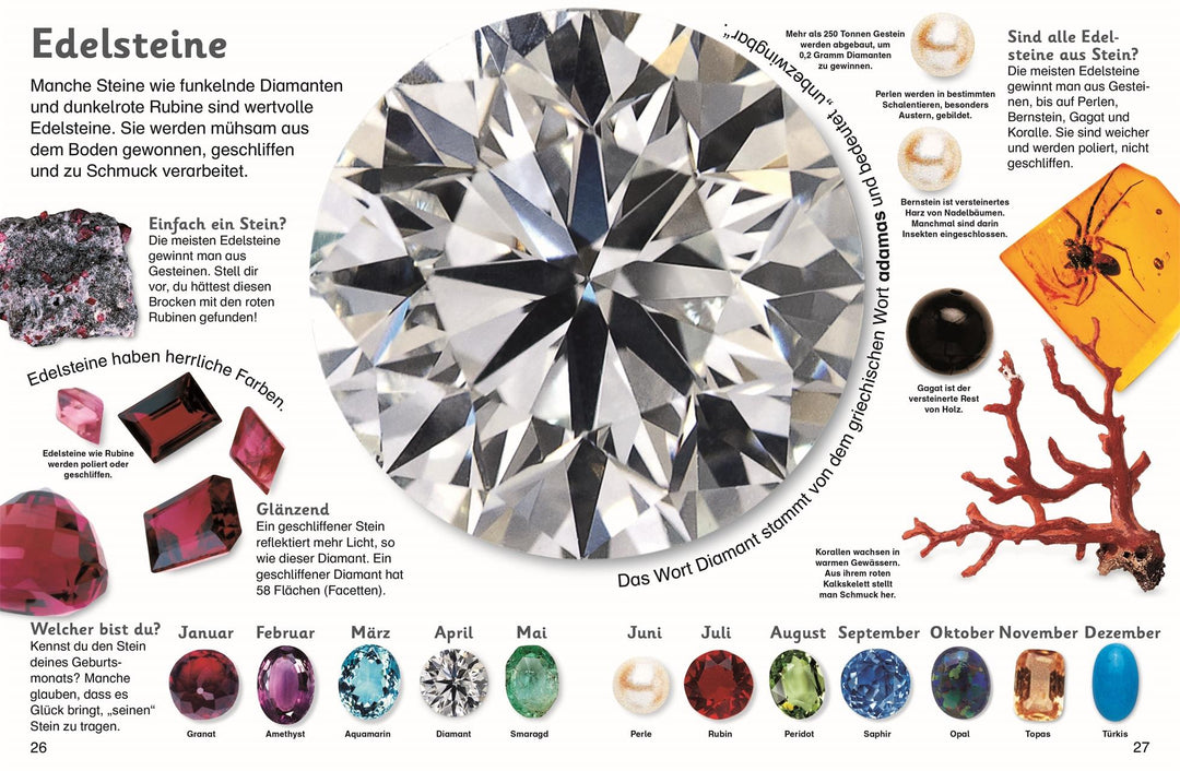 memo Kids. Steine und Mineralien | -