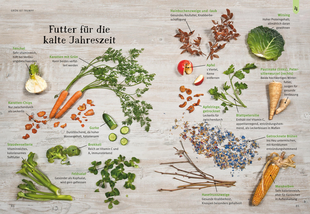 Liebenswerte Zwergkaninchen | Wegler, Monika