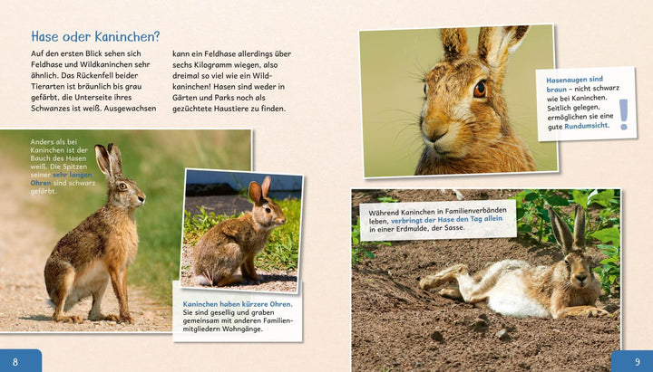 Meine große Tierbibliothek: Der Hase | Poschadel, Jens