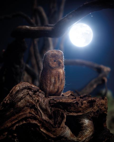 Filzen von heimischen Tieren | Reinhard, Rotraud