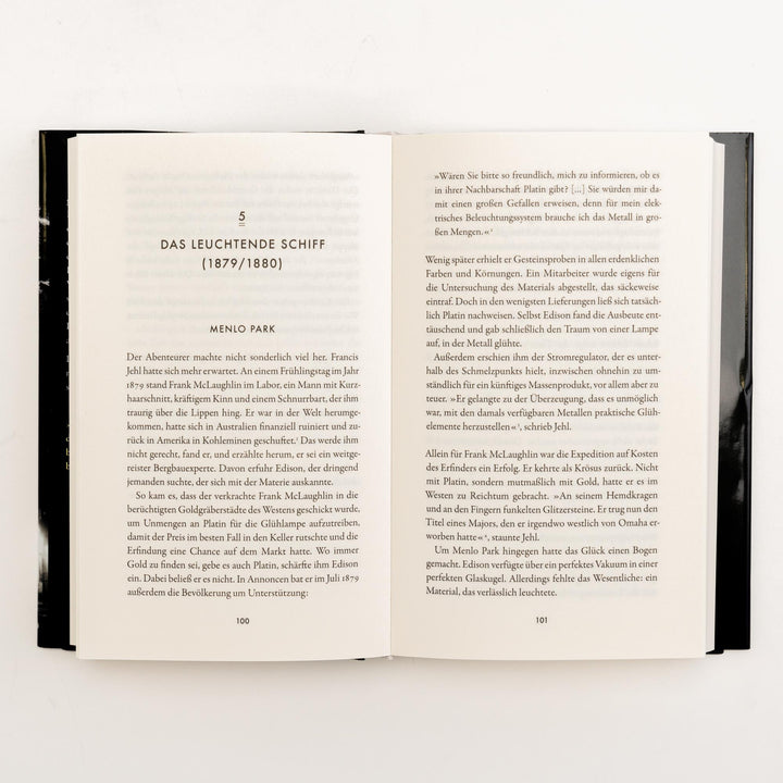 Der elektrische Traum. Fortschrittsjahre oder eine Gesellschaft unter Strom ...