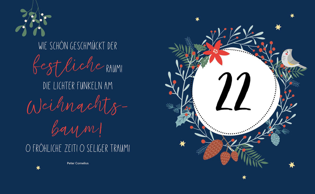 Mein Adventskalender-Buch: Gartendeko-Liebe | Scheller-Penser, Christin