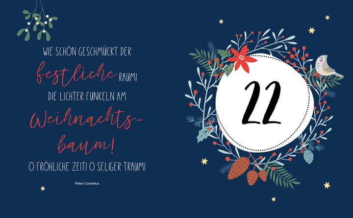 Mein Adventskalender-Buch: Gartendeko-Liebe | Scheller-Penser, Christin