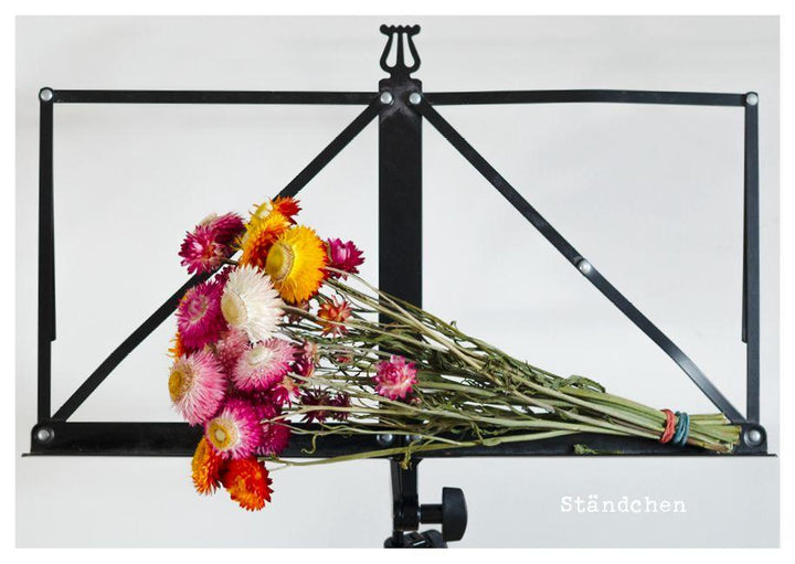 feste feiern - Postkartenbuch | Brall, Stephanie