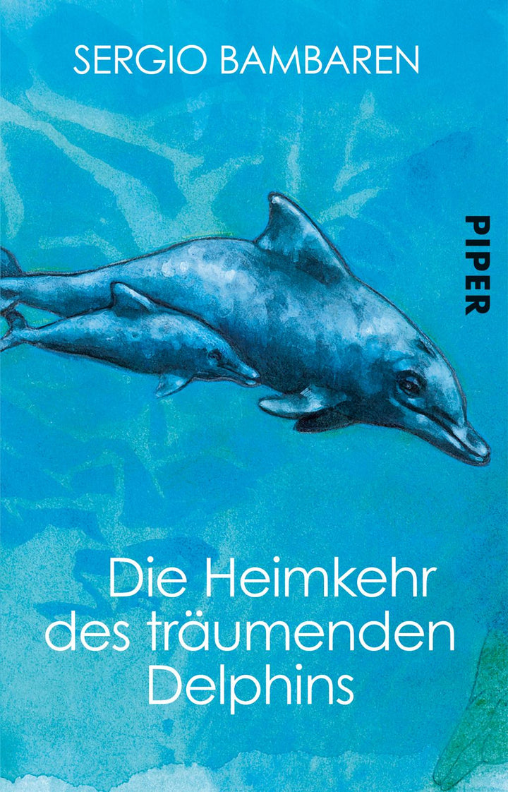Die Heimkehr des träumenden Delphins | Bambaren, Sergio