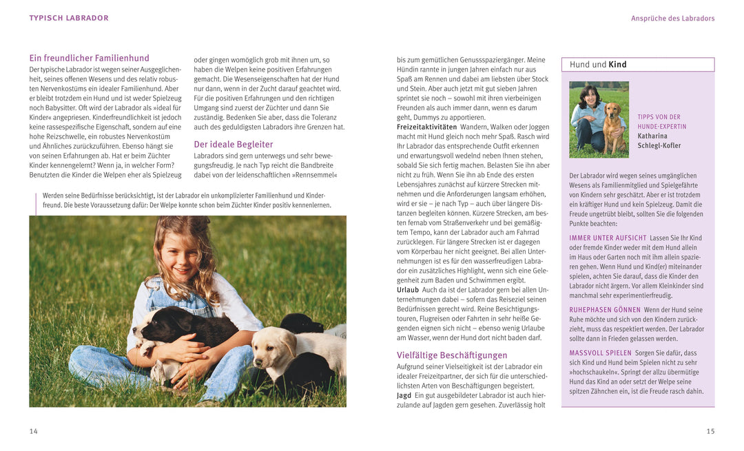 Labrador Retriever | Schlegl-Kofler, Katharina