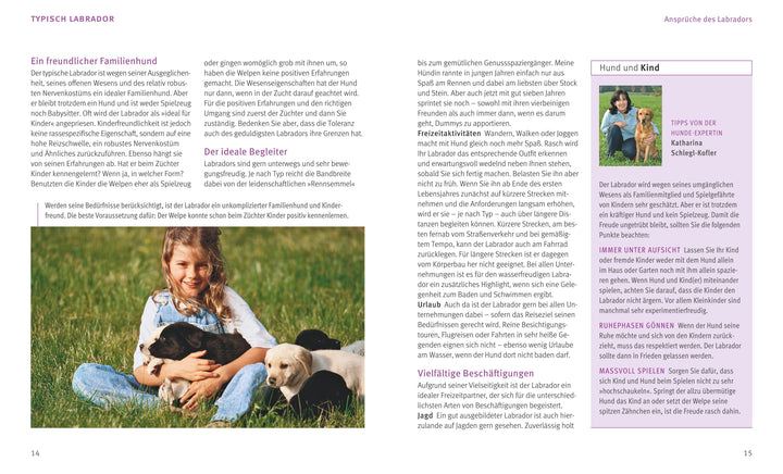 Labrador Retriever | Schlegl-Kofler, Katharina