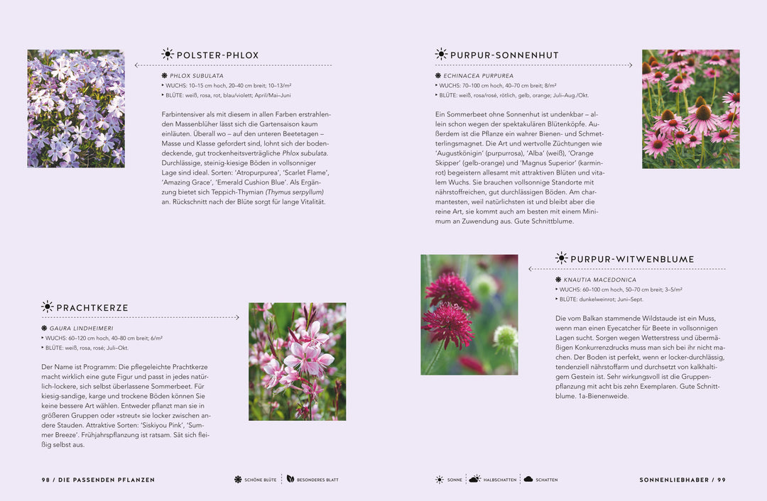 Schöne Beete für Faule | Weigelt, Lars