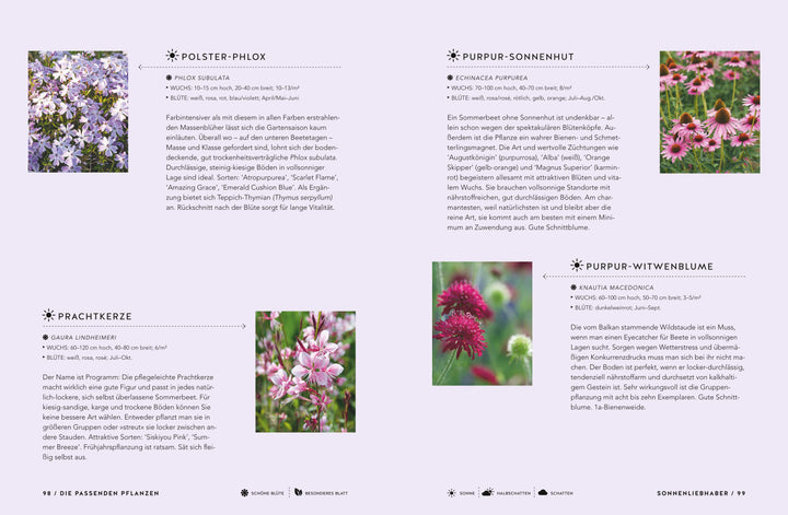 Schöne Beete für Faule | Weigelt, Lars