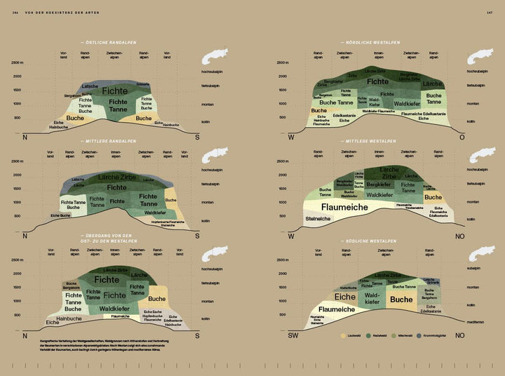 Der Alpenwald | Hochbichler, Eduard