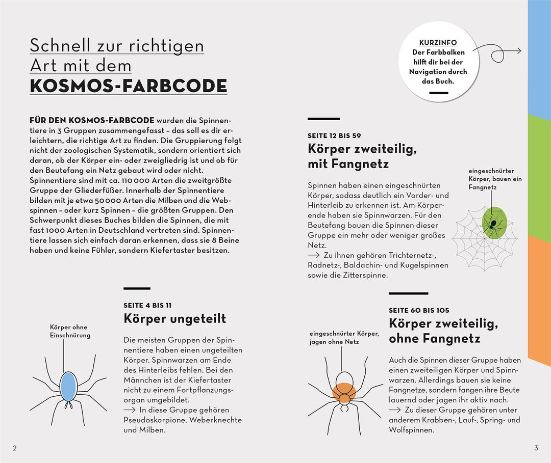 Basic Spinnen | Wilker, Lars