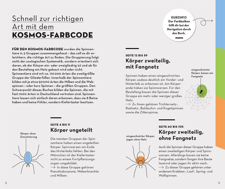 Basic Spinnen | Wilker, Lars