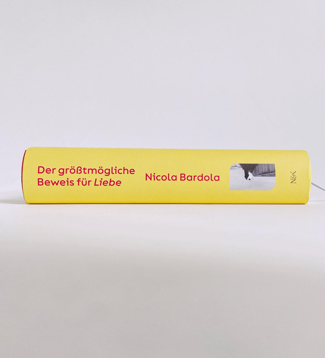 Der größtmögliche Beweis für Liebe | Bardola, Nicola
