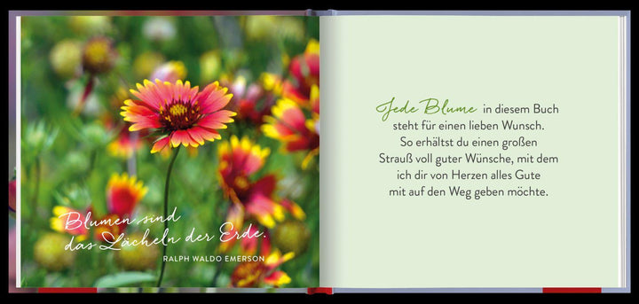 Ein Strauß voll guter Wünsche | -