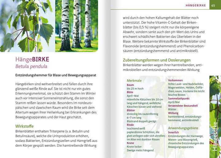 Grüne Hausapotheke für Hunde. Kompakt-Ratgeber | Lux, Dorina