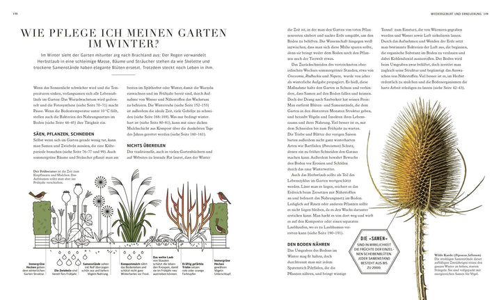 100 Fragen und Antworten zum Gärtnern | Farrimond, Stuart