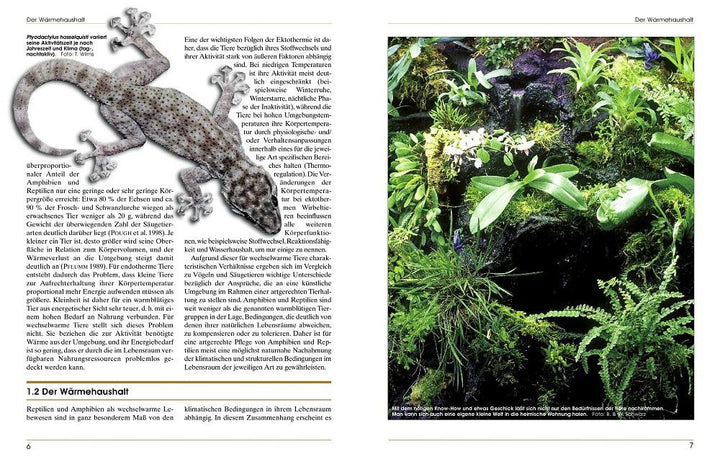 Terrarieneinrichtung | Wilms, Thomas