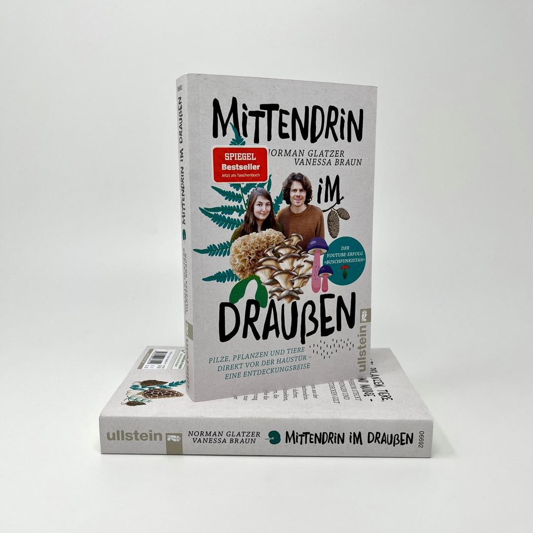 Mittendrin im Draußen | Glatzer, Norman | Braun, Vanessa