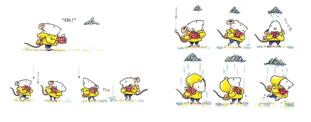 Raindrops | Boyden, Robin