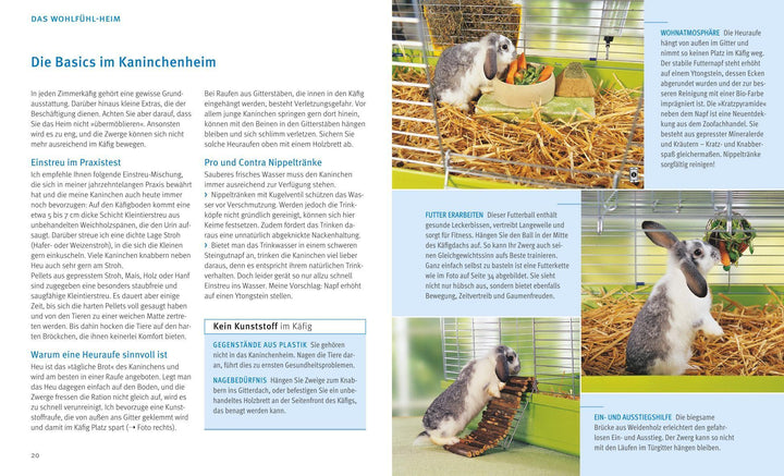 Zwergkaninchen | Wegler, Monika