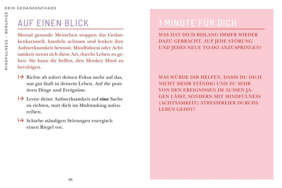 Die 1-Minuten-Strategie gegen mentale Erschöpfung | Nussbaum, Cordula
