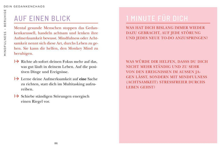 Die 1-Minuten-Strategie gegen mentale Erschöpfung | Nussbaum, Cordula