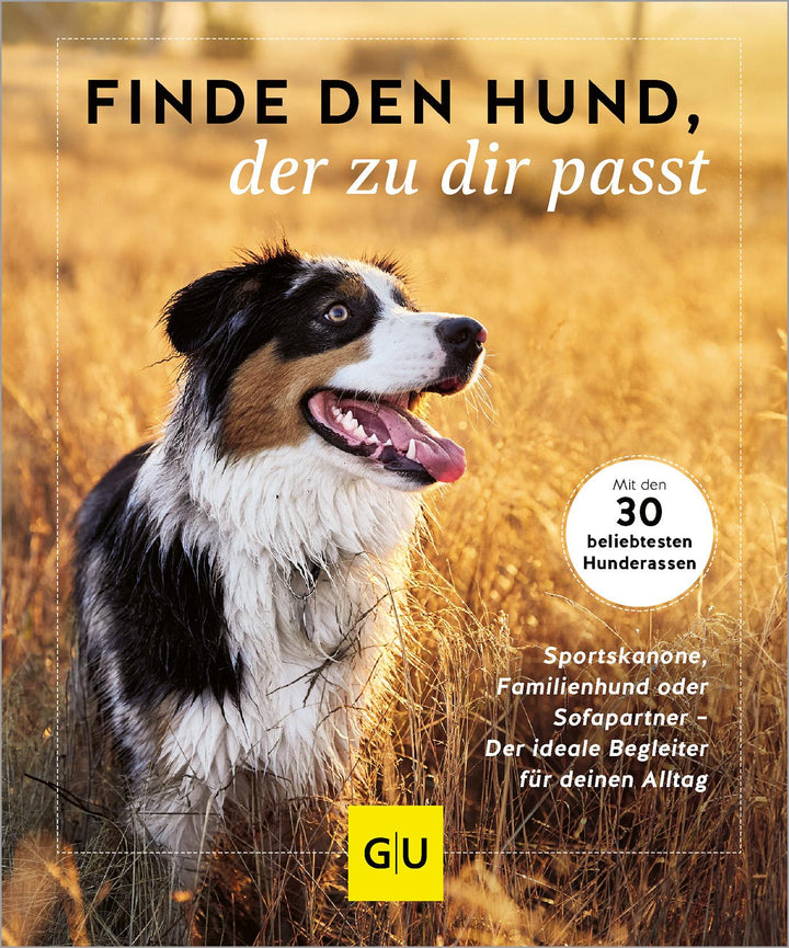 Finde den Hund, der zu dir passt | Xx