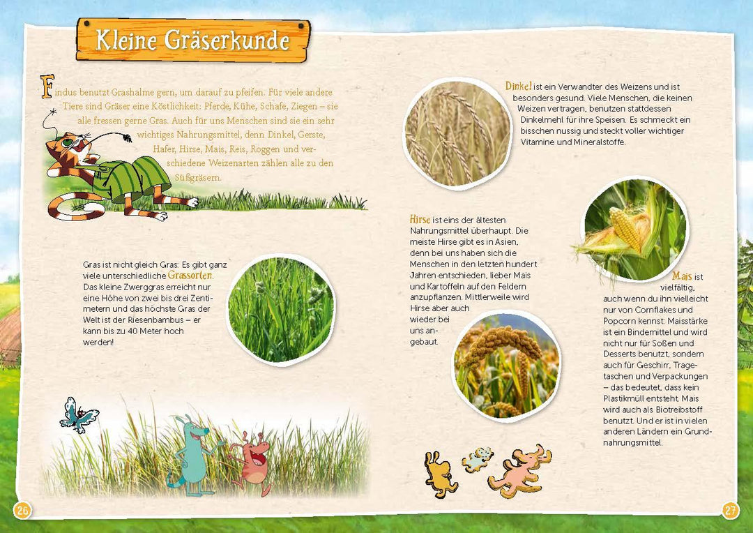 Pettersson und Findus: Mein großes Naturbuch | Nordqvist, Sven | Korda, Steffi