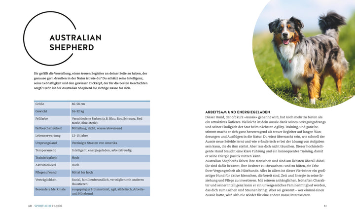 Finde den Hund, der zu dir passt | Xx