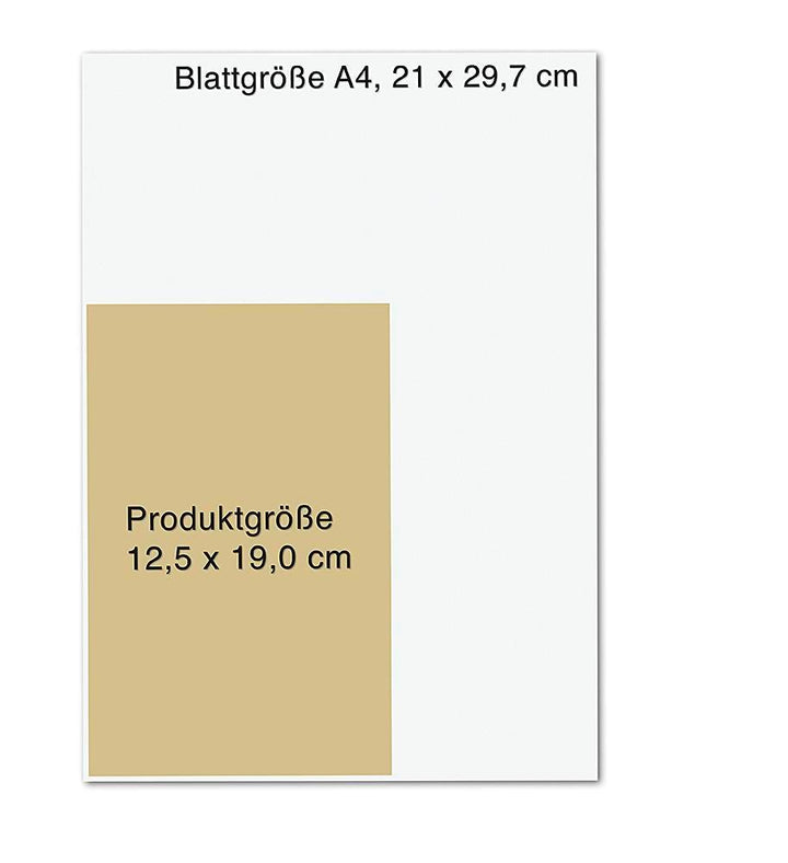 Dunkles Netz | Holbe, Daniel | Franz, Andreas