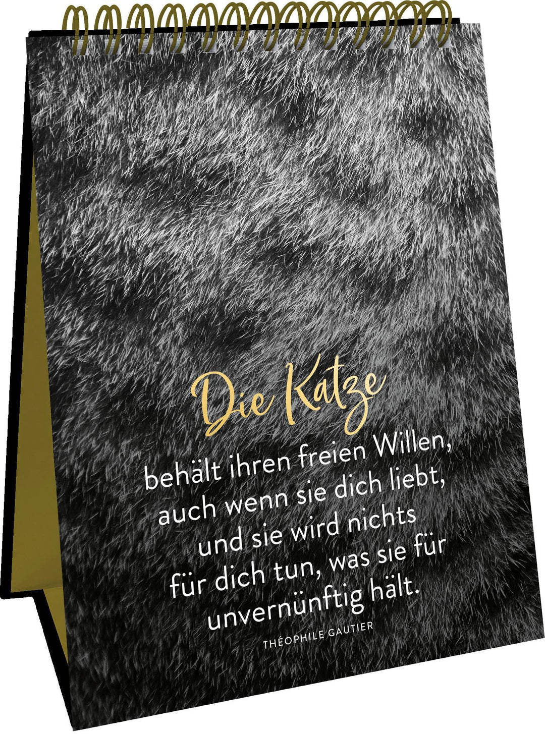 Goldene Katzenweisheiten | -