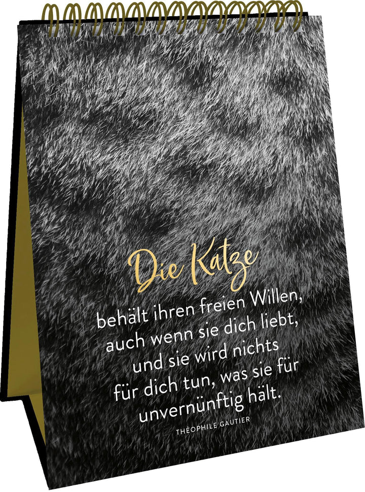 Goldene Katzenweisheiten | -
