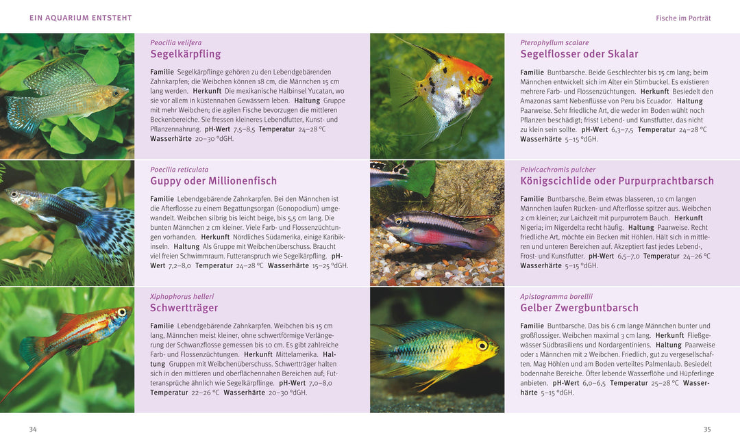 Das Aquarium | Gutjahr, Axel