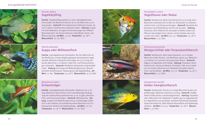 Das Aquarium | Gutjahr, Axel