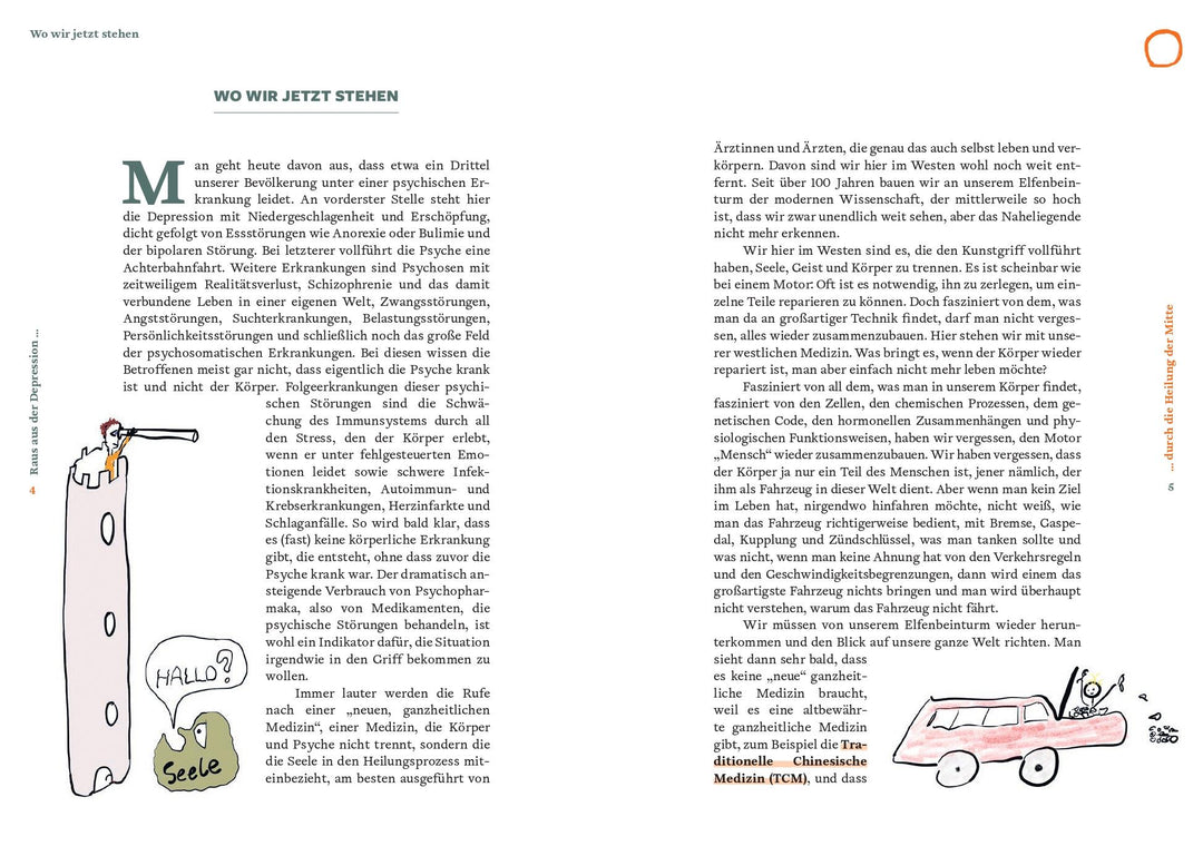 Raus aus der Depression durch die Heilung der Mitte | Weidinger, Georg