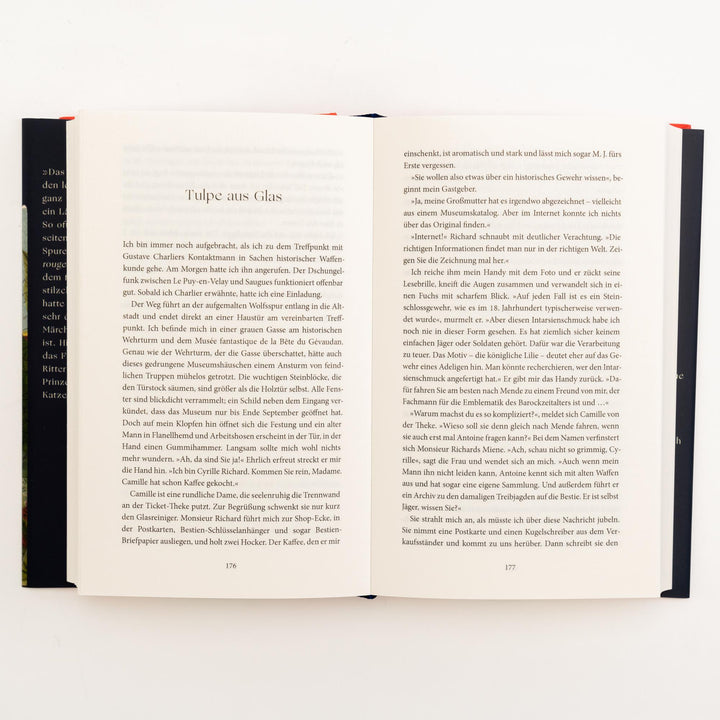 Der elektrische Traum. Fortschrittsjahre oder eine Gesellschaft unter Strom ...