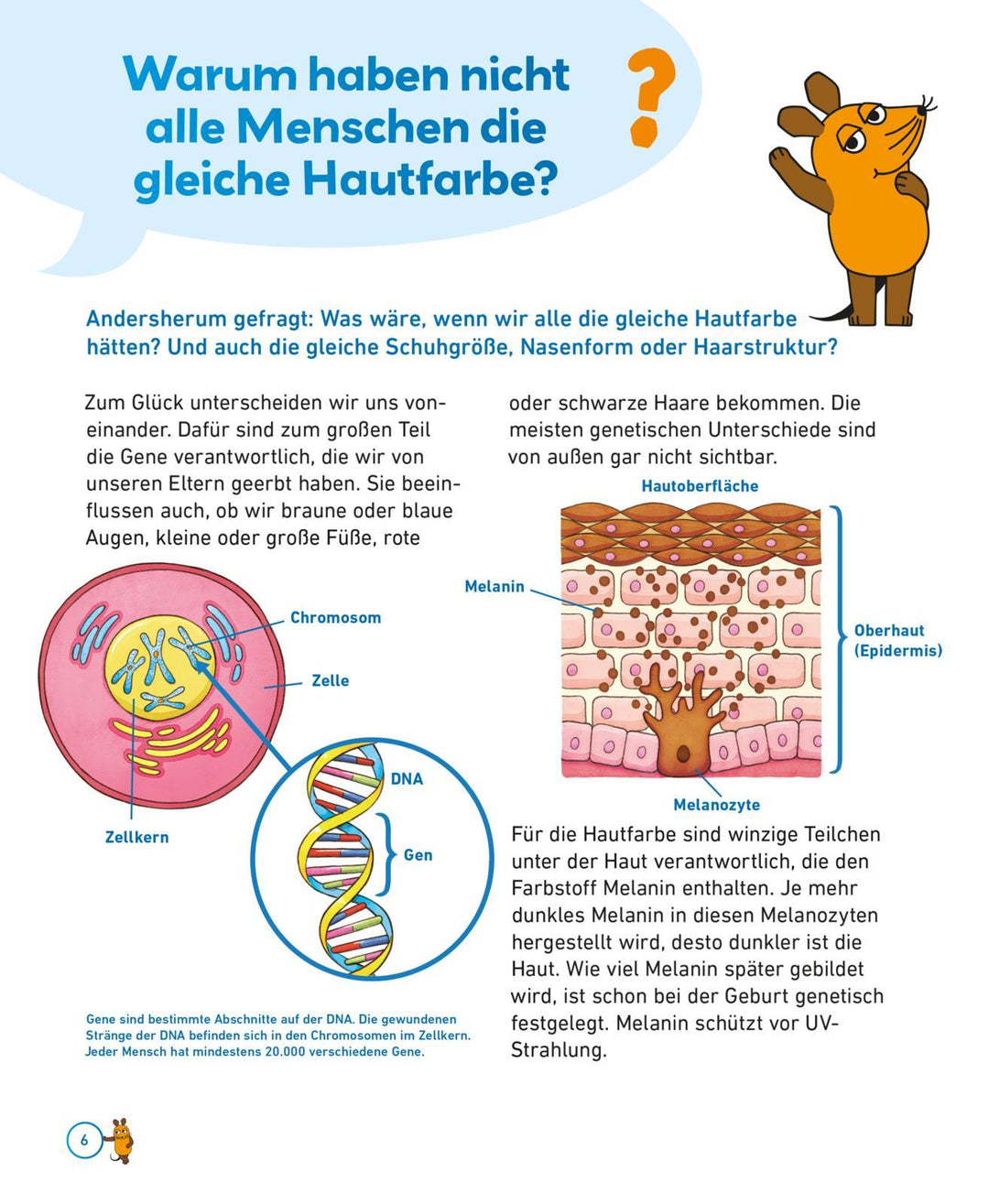 Frag doch mal ... die Maus: Der Körper | Tober, Heike