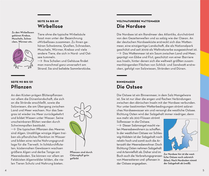 Basic Strand und Küste | Wilhelmsen, Ute