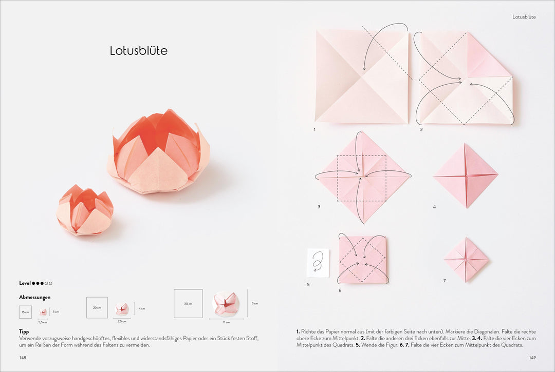 Das große Origami Buch | Klam, Adeline