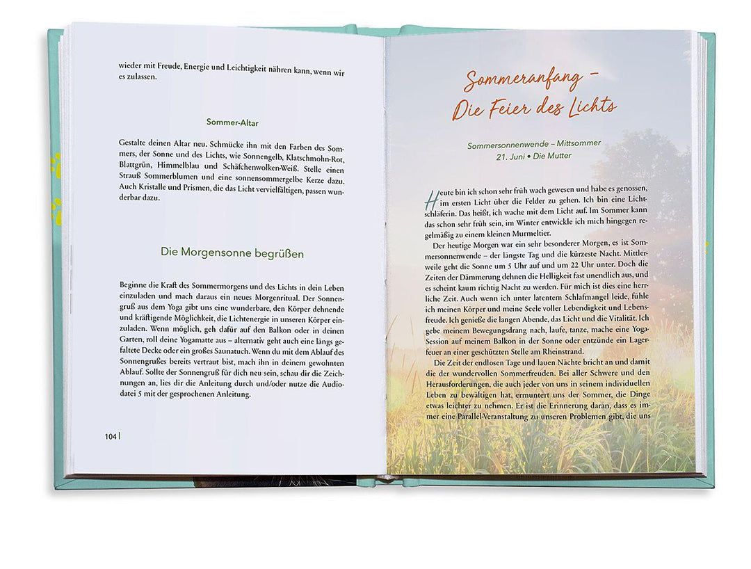 Reconnect. Wie wir uns wieder mit der Natur verbinden | Schneider, Maren