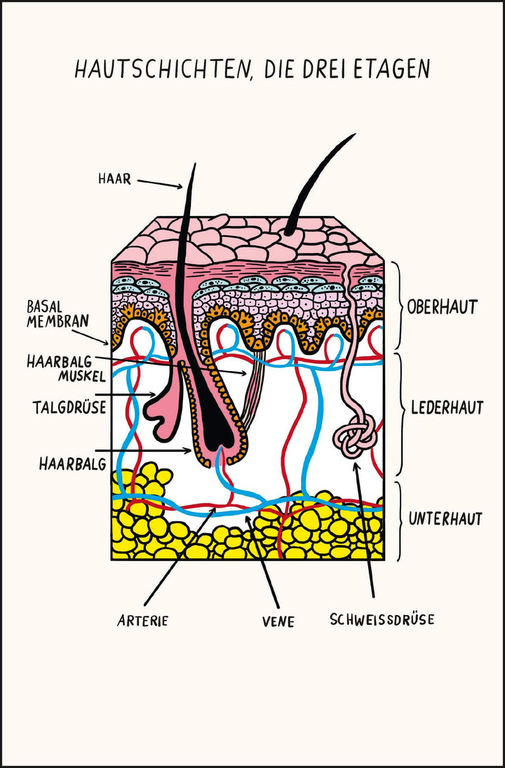 Haut nah | Adler, Yael
