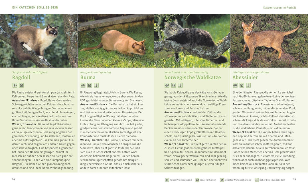 Unser Kätzchen | Eilert-Overbeck, Brigitte