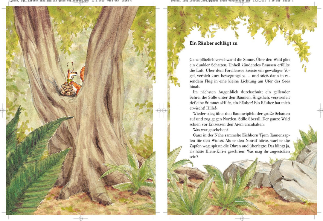 Latte Igel reist zu den Lofoten | Lybeck, Sebastian