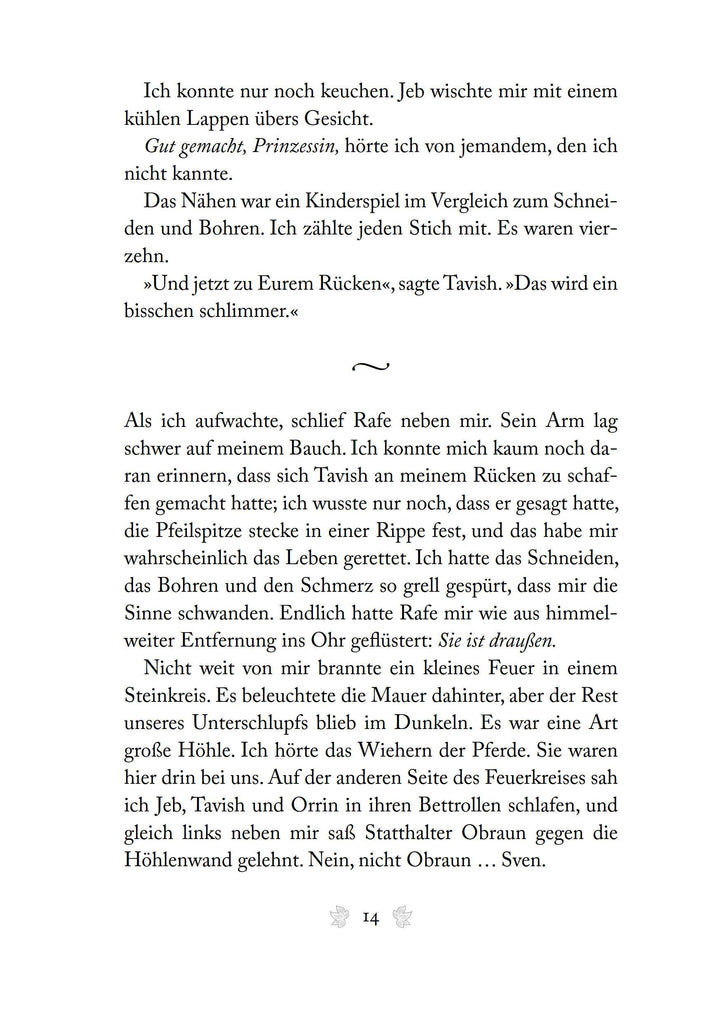 Der Glanz der Dunkelheit | Pearson, Mary E.